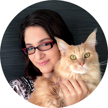 Opiekun Kotów, Wrocław - Catsitter Marta Saifi